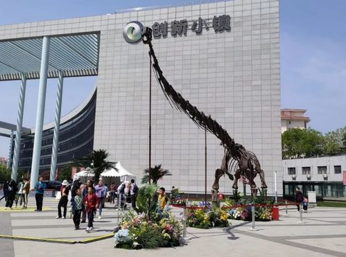 带您走进怀柔科学城 网红小街