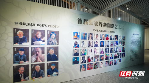 影像丨首届张家界新国潮艺术展开展 137件入围作品展出