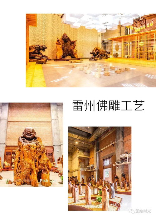 这一趟,跟我一起遇见文艺湛江
