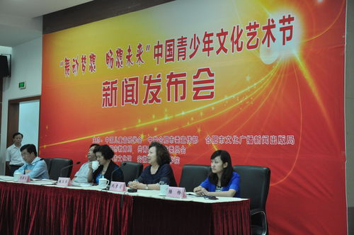 2015中国 合肥 青少年文化艺术节